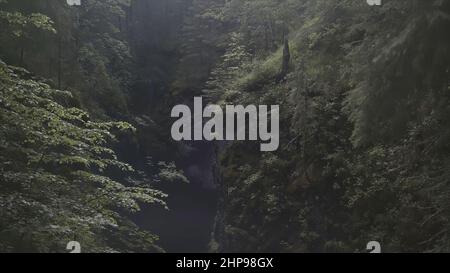 Aerial of a man standing in the gorge between two mountains covered by green plants and trees, extreme situation. Man lighting the signal flare. Stock Photo