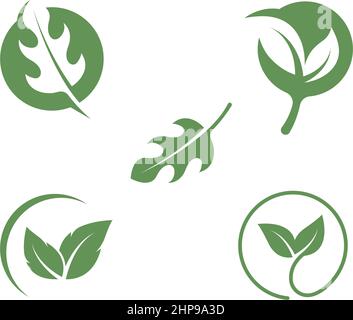 organic leaves icon vector design template Stock Vector