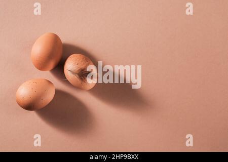Chicken brown eggs with brown feathers on beige creative minimal background Stock Photo
