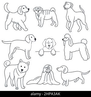 Dogs doodle set. Pets hand drawn collection. Outline drawing animals isolated vector illustration Stock Vector