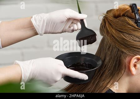 Young female hairdressed hands dyeing long hair to beautiful girl. Barber hair dye is applied with a brush Stock Photo