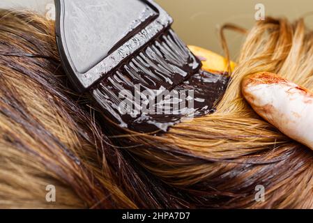 Young female hairdressed hands dyeing long hair to beautiful girl. Barber hair dye is applied with a brush Stock Photo