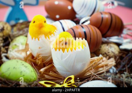 Chicks on a blue wooden background. The minimal concept. Stock Photo