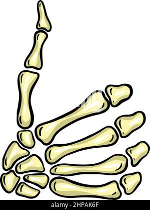 Cartoon Skeleton Hand Gesture Illustration Vector for Halloween Stock Vector