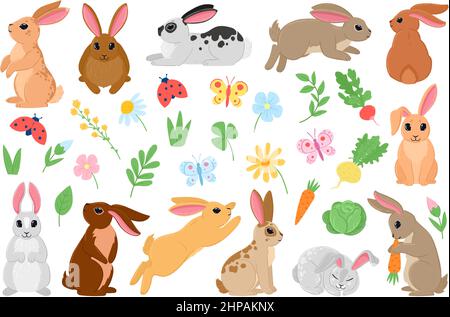 Cartoon spring bunny, cute easter rabbits with carrot and flowers. Spring bunny pets, white and brown rabbit characters vector illustration set. Easte Stock Vector