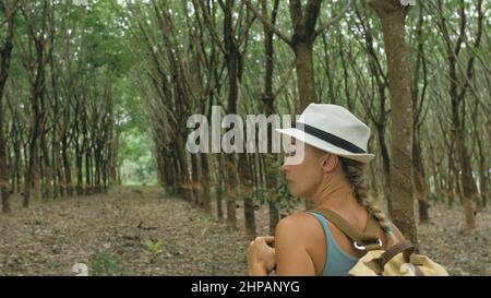 The traveler walks between trees plantation agriculture of asia for natural latex extraction milk in traditional. Young blonde woman with plait in hat walks to rubber tree. Stock Photo