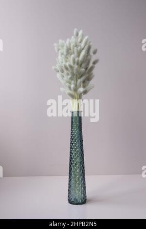 Bouquet of dry fluffy dried flowers in vase on gray background Stock Photo