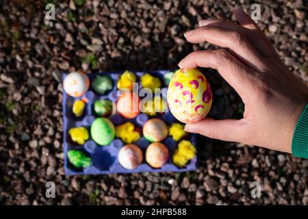 Hand holding up a painted boiled egg. In the background is a cartoon box filled with colorful eggs for Easter holiday. Photo taken in Sweden. Stock Photo