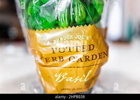 Naples, USA - October 21, 2021: Sign label for Trader Joe's Potted Herb Garden macro closeup of green sweet basil plant in plastic for growing food sp Stock Photo