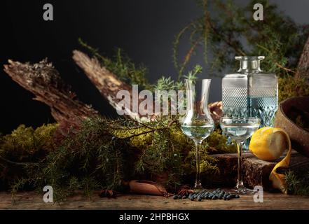 Gin with ingredients. Anise, coriander, lemon, and juniper berries are scattered on a wooden table. In the background branches of juniper, old tree, a Stock Photo