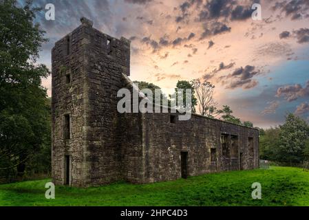 The Old Collegiate Church Ruins at Castle Semple Lochwinnoch Scotland surrounded by the atmospheric woods.