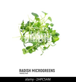 Fresh radish microgreens, isolated on white background. Healthy lifestyle concept. Stock Photo