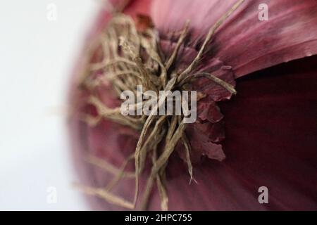 Close up of a red onion Stock Photo