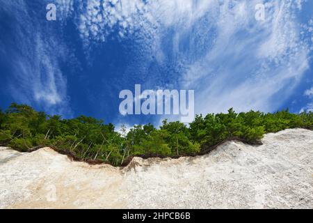 Sea cliff, green forest, chalk rocks blue sky, Jasmund National Park, Baltic Sea Stock Photo