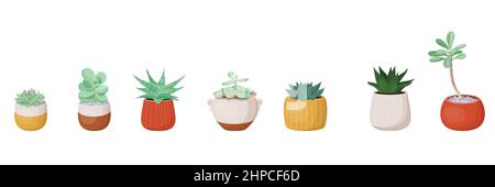 Different types of succulents in flower pots Stock Vector