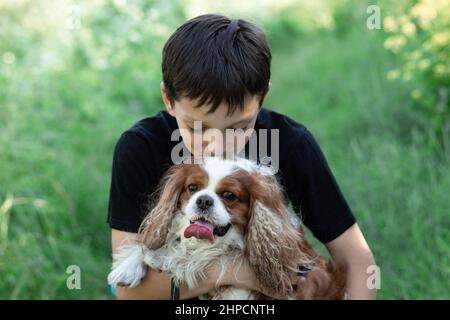 Little boy kissing friend dog Cavalier King Charles spaniel together in field meadow trees, greenery, street. Close up Stock Photo