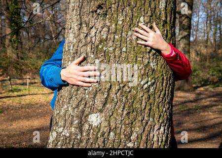 Young couple is hugging a large oak tree. The couple is hiding behind the tree and kissing. Concept of well-being and love for nature. Stock Photo