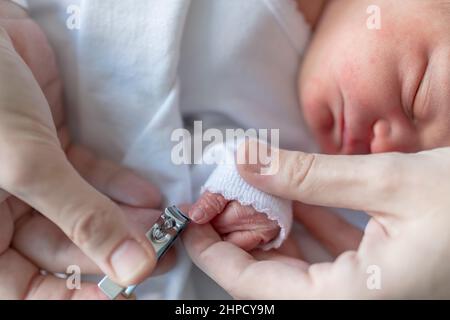 Cutting your baby's nails safely. – Halomama.com