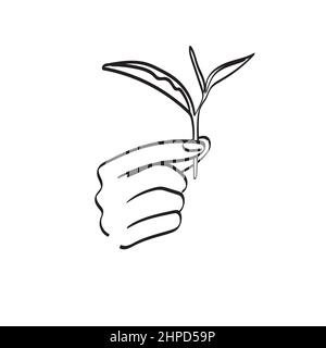 line art closeup hand holding tea leaf illustration vector hand drawn isolated on white background Stock Vector