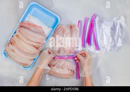 Woman hands put fresh Tilapia fish fillet in zip lock bags for freezing ...