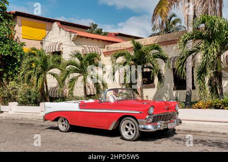 Man sitting in red and white vintage 1957 Chevrolet car on street of resort town. Stock Photo