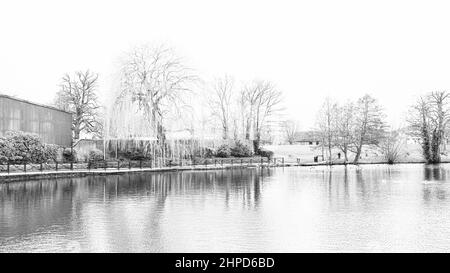 Deemed as fine art images photographs taken around Bressingdon park in Norfolk with some ICM Intentional camera movements during exposure. Stock Photo