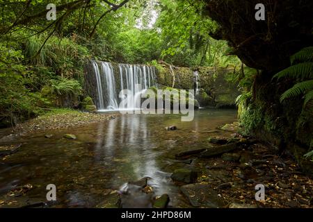 San Pedro de Incio waterfall in a forest in Galicia, Spain Stock Photo