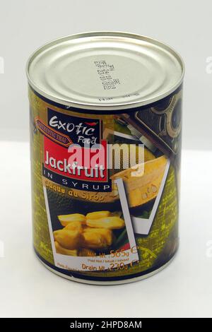 Canned Jackfruit In Syrup Jack Tree Jackfruchtbaum Jackfrucht