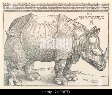 Dürer's Rhinoceros 1515 engraving of an Indian Rhino that visited Lisbon in 1513 by Alberto Dürer (1471-1528). Stock Photo