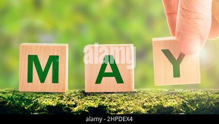 may - the word on cubes on a green flowering background in the forest. May weather and flowering of green foliage, nature blossoms and green buds on t Stock Photo