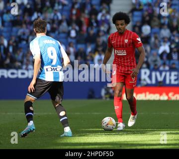 Sabadell, Barcelona, Spain. 20th Feb, 2022. Barcelona Spain 20.02.2022 Javi Puado (Espanyol Barcelona) and Jules Kounde (Sevilla FC) battle for the ball during the La Liga Santander between Espanyol and Sevilla FC at RCDE Stadium on 20 February 2022 in Barcelona. (Credit Image: © Xavi Urgeles/ZUMA Press Wire) Stock Photo