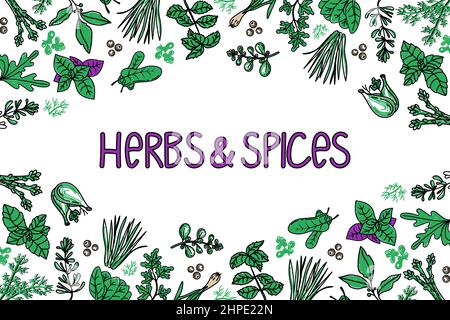 Herbs and spices packaging design template, drawn element in style. Mint, thyme, spinach, rosemary, basil, etc. Logo in a trendy linear style Stock Vector