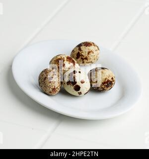 Quail Egg or Telur Puyuh on White Plate Stock Photo