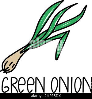 Hand-drawn green spring onion in doodle style. Vector schnitt onion spices and herbs. Illustration of fresh sliced green onions. Icon in cartoon flat Stock Vector