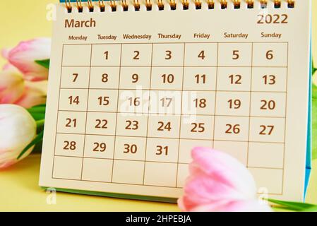 March calendar and tulip flowers on yellow background, Hello spring concept, International woman day greating card Stock Photo