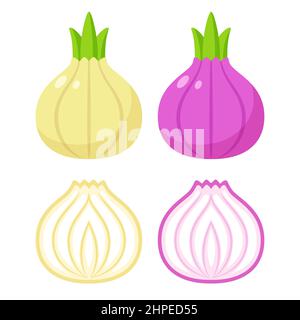 Cartoon white and red onion illustration set. Cute onion bulbs with cross section cut. Isolated vector clip art. Stock Vector