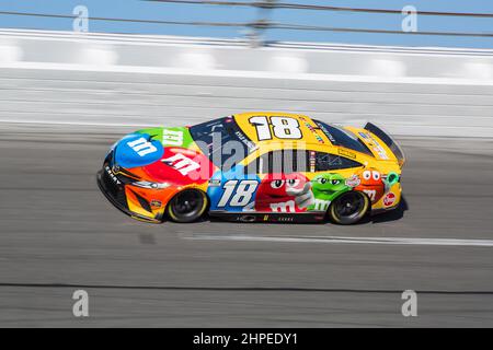 Kyle Busch (18) during a NASCAR Cup Series auto race on Sunday, Nov. 11 ...