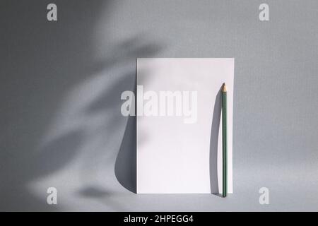 Blank greeting card with foliage shadow, on gray background, with a pencil. Minimalist mock-up template card or note. Stock Photo