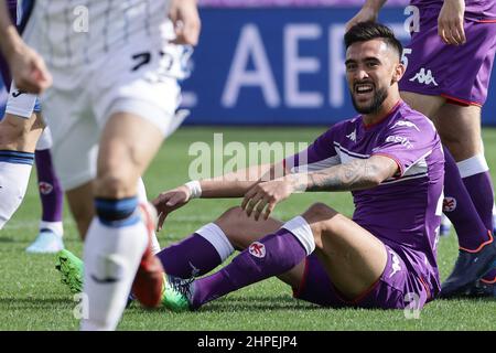 Fiorentina vs Lugano: Live Score, Stream and H2H results 12/21/2022.  Preview match Fiorentina vs Lugano, team, start time.