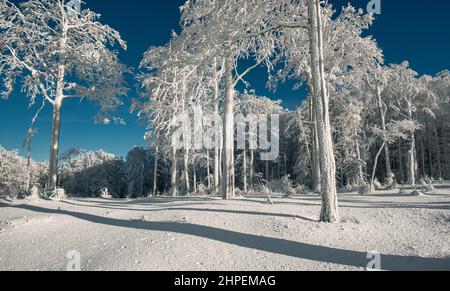 Winter in Beskidy mountains near Szyndzielnia, Klimczok and Blatnia, Beskid Slaski, Poland Stock Photo