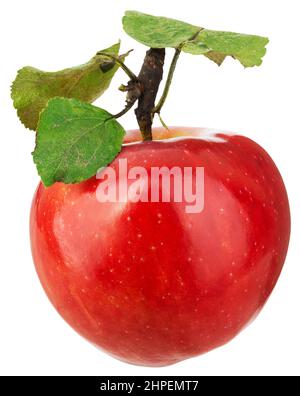 Single red apple with green leaves isolated on white background Stock Photo