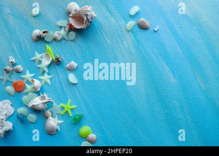Seashells summer background. Many different seashells, starfish on a background of turquoise paint strokes. Place for text. Stock Photo