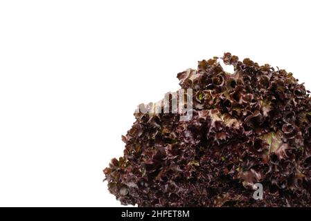 Fresh purple salad isolated on a white background. Top view. Stock Photo