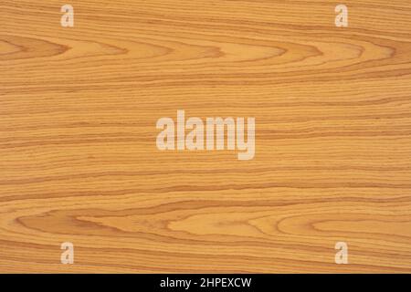 Golden Oak veneer background in natural color, texture for your new home design. Stock Photo