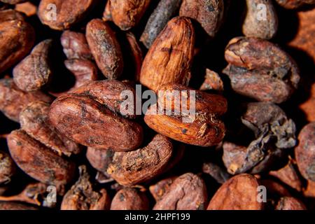 Flat lay macro unpeeled cocoa bean, top view, Whole coco Stock Photo