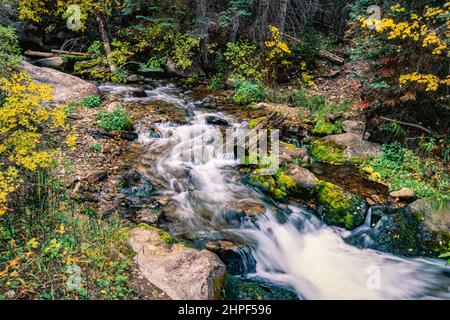 Fall color along Mill Creek in the La Sal Mountains of the Manti-La Sal National Forest near Moab, Utah. Stock Photo