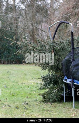 Hambledon Road, Godalming. 21st February 2022. High winds across the Home Counties again today as Storm Franklin made landfall. Storm damage in Godalming in Surrey. Credit: james jagger/Alamy Live News Stock Photo