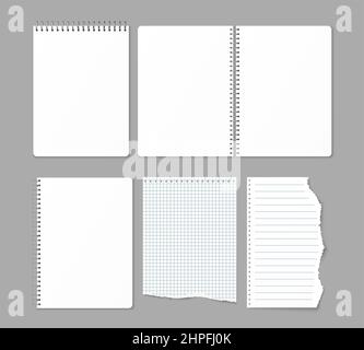 Realistic spiral notebook. Metal pages binding. Different paper markup types. Blanked 3D notepads and torn out sheets. Metallic wire binder. Note Stock Vector