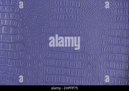 Blue crocodile leather texture. Abstract background for design. Stock Photo