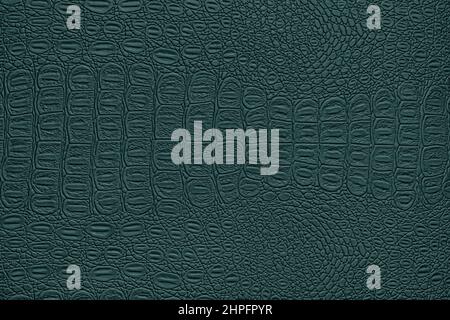 Green crocodile leather texture. Abstract background for design. Stock Photo